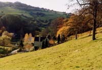 autumnview.jpg