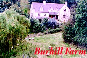 burhilltop.jpg